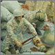 photo #7