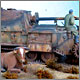 Echoes of war