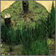 Making a wetland