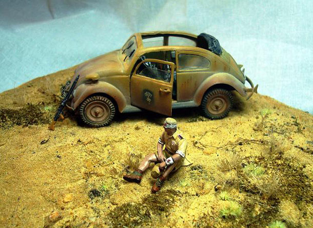Dioramas and Vignettes: African Beetle Dioramas and Vignettes: African Beetle
