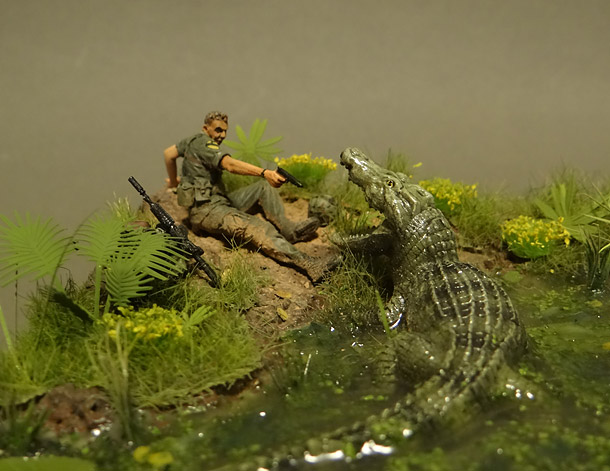 Dioramas and Vignettes: Wild world Dioramas and Vignettes: Wild world