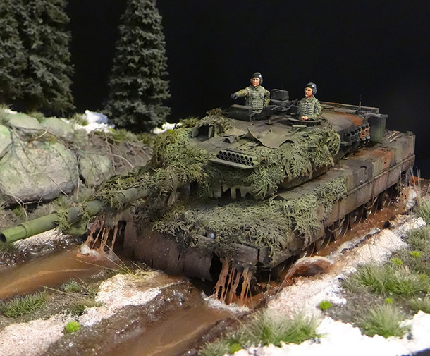 Dioramas and Vignettes: Leopard Dioramas and Vignettes: Leopard