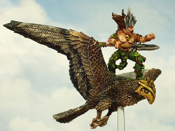 Miscellaneous: Elf on Hawk Miscellaneous: Elf on Hawk