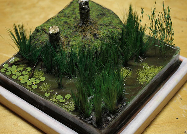 Features: Making a wetland Features: Making a wetland