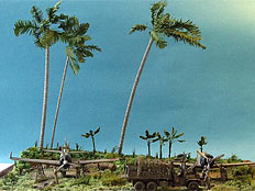 Trophy team. Rabaul, 1944 (Worth to See)